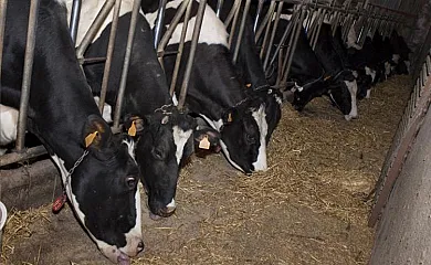 Santa Klara Alojamiento rural en Zumaia (Guipuzcoa) - Foto 17