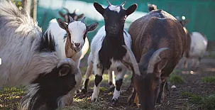 Santa Klara Alojamiento rural 0018