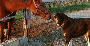 Santa Klara Alojamiento rural 0019