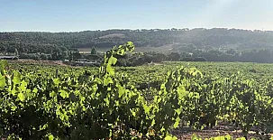 Casa Rural Hoces del Batanejo 0019