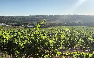 Casa Rural Hoces del Batanejo en Sisante (Cuenca) - Foto 19