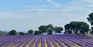Casa Rural Hoces del Batanejo 0023