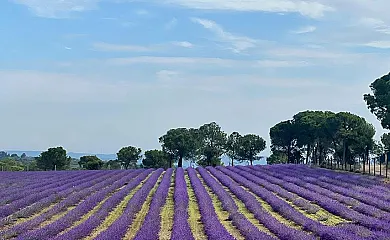 Casa Rural Hoces del Batanejo en Sisante (Cuenca) - Foto 24