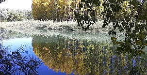 Casa Rural Hoces del Batanejo 0026