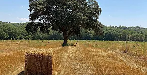 Casa Rural Hoces del Batanejo 0034