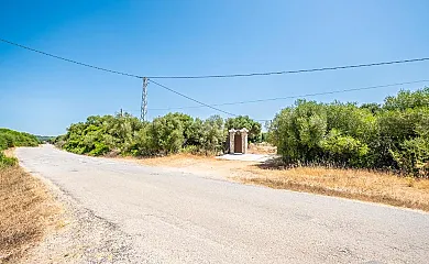Finca Encanto en Arcos de la Frontera (Cádiz) - Foto 15