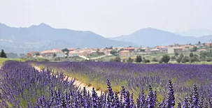 Casas Rurales Luis 008