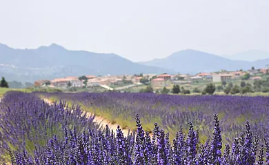 Casas Rurales Luis en Moratalla (Murcia) - Foto 8