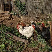 La casa de Cobos 001