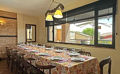 El Gallo de Morón en Morón de Almazán (Soria) - Foto 20