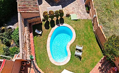 El Gallo de Morón en Morón de Almazán (Soria) - Foto 2