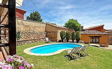 El Gallo de Morón en Morón de Almazán (Soria) - Foto 4