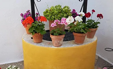 Hotel Hacienda El Santiscal en Arcos de la Frontera (Cádiz) - Foto 8