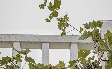 Arriola Txiki en Deba (Guipuzcoa) - Foto 22