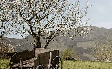 Arriola Txiki en Deba (Guipuzcoa) - Foto 23