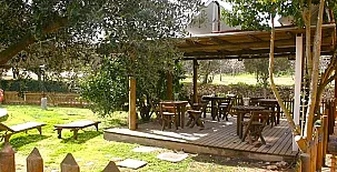 La Ginesta Rural 0021