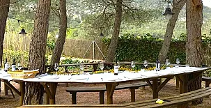 La Ginesta Rural 0025