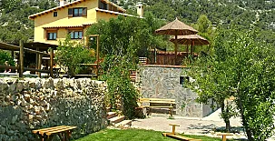 La Ginesta Rural 0030