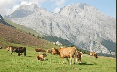 Vivienda Vacacional El Llagu Villa en Porrúa (Asturias) - Foto 14