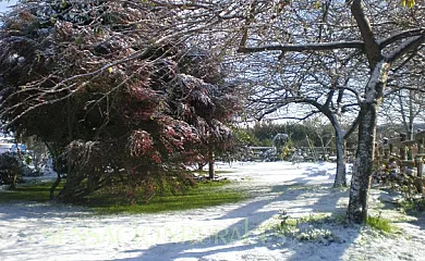 La Cerra en Villaviciosa (Asturias) - Foto 6