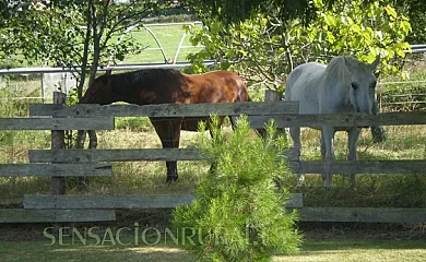 La Cerra en Villaviciosa (Asturias) - Foto 7