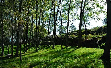 Finca El Becerril en Acebo (Cáceres) - Foto 12