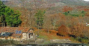 Finca El Becerril 0027