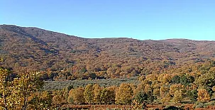 Finca El Becerril 0028