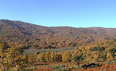 Finca El Becerril en Acebo (Cáceres) - Foto 16