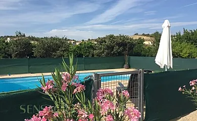 Hort de Gerard en Aldover (Tarragona) - Foto 13