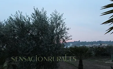 Hort de Gerard en Aldover (Tarragona) - Foto 14