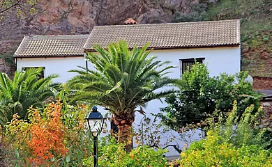Casa Rural El Molinillo en Jimera de Libar (Málaga) - Foto 24