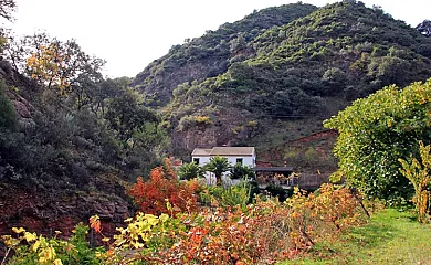 Casa Rural El Molinillo en Jimera de Libar (Málaga) - Foto 4