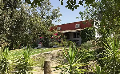 La Zalea en Arcos de la Frontera (Cádiz) - Foto 7