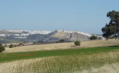 La Zalea en Arcos de la Frontera (Cádiz) - Foto 10