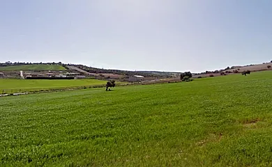 La Zalea en Arcos de la Frontera (Cádiz) - Foto 22