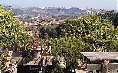 La Zalea en Arcos de la Frontera (Cádiz) - Foto 3