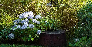 Casas La Pumarada 007