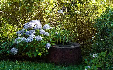 Casas La Pumarada en Villaviciosa (Asturias) - Foto 7