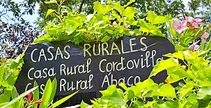 Casa Cordovilla y Abaco 0019