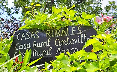 Casa Cordovilla y Abaco en Sequeros (Salamanca) - Foto 19