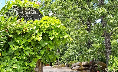 Casa Cordovilla y Abaco en Sequeros (Salamanca) - Foto 3