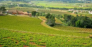 Can Cruset agroturisme 007