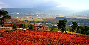 Can Cruset agroturisme 005