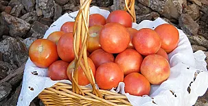 Can Cruset agroturisme 0012