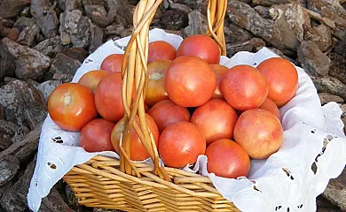 Can Cruset agroturisme en Torrelles de Foix (Barcelona) - Foto 12