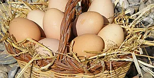 Can Cruset agroturisme 0013