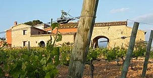 Can Cruset agroturisme 0014