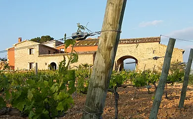 Can Cruset agroturisme en Torrelles de Foix (Barcelona) - Foto 14