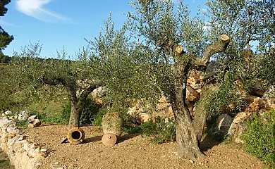 Can Cruset agroturisme en Torrelles de Foix (Barcelona) - Foto 18